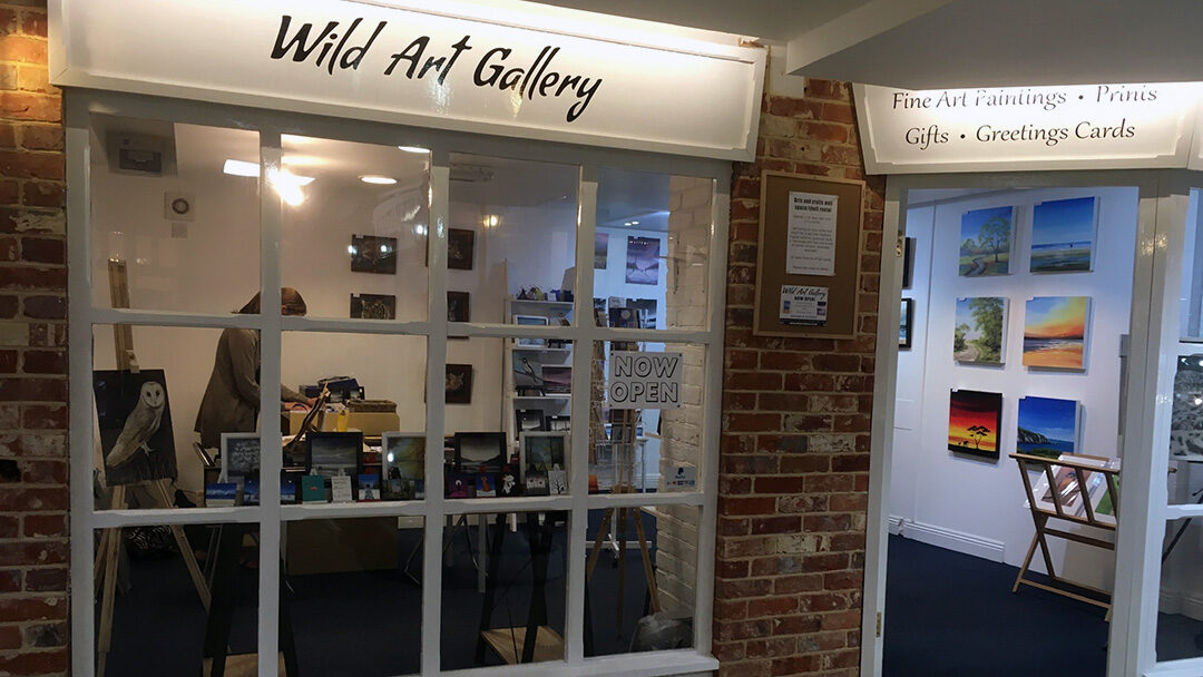 Wickham’s Wild Art Gallery offers perch to Quirky Birds