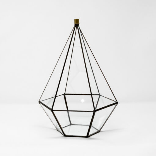 tall hexagon terrarium