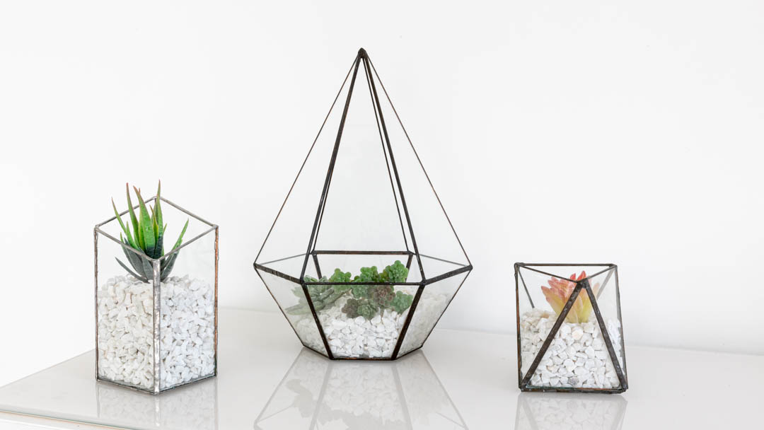 Terrariums for contemporary or traditional homes